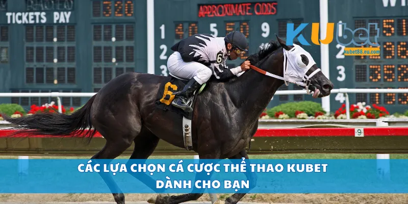 Các lựa chọn cá cược thể thao Kubet dành cho bạn