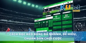 Cách Đọc Kèo Bóng Đá Nhanh, Dễ Hiểu, Chuẩn Dân Chơi Cược