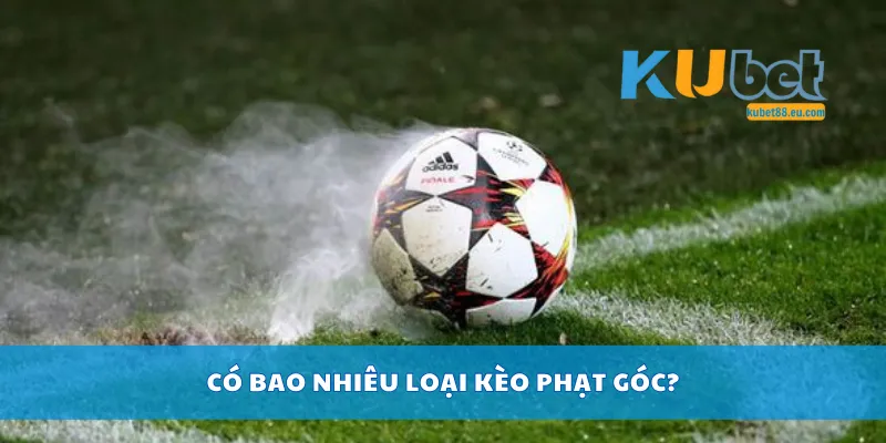 Có bao nhiêu loại kèo phạt góc?