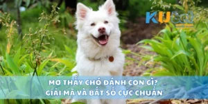 Mơ Thấy Chó Đánh Con Gì? Giải Mã Và Bắt Số Cực Chuẩn